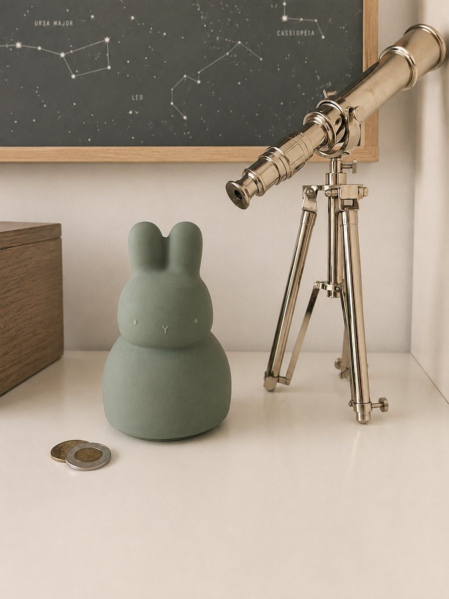 Silicone Piggy Bank - Bunny